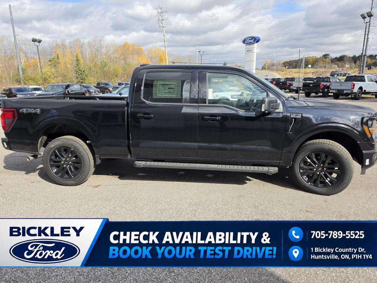 2026 Ford F-150 XLT Photo3