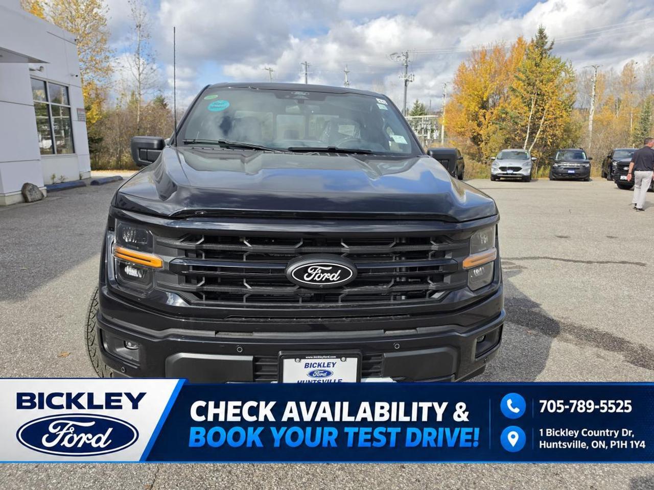 2026 Ford F-150 XLT Photo1