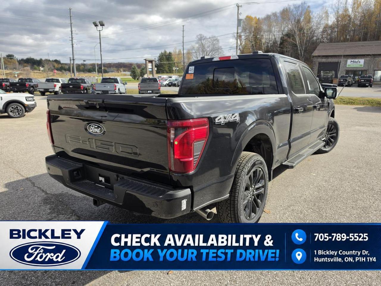 2026 Ford F-150 XLT Photo