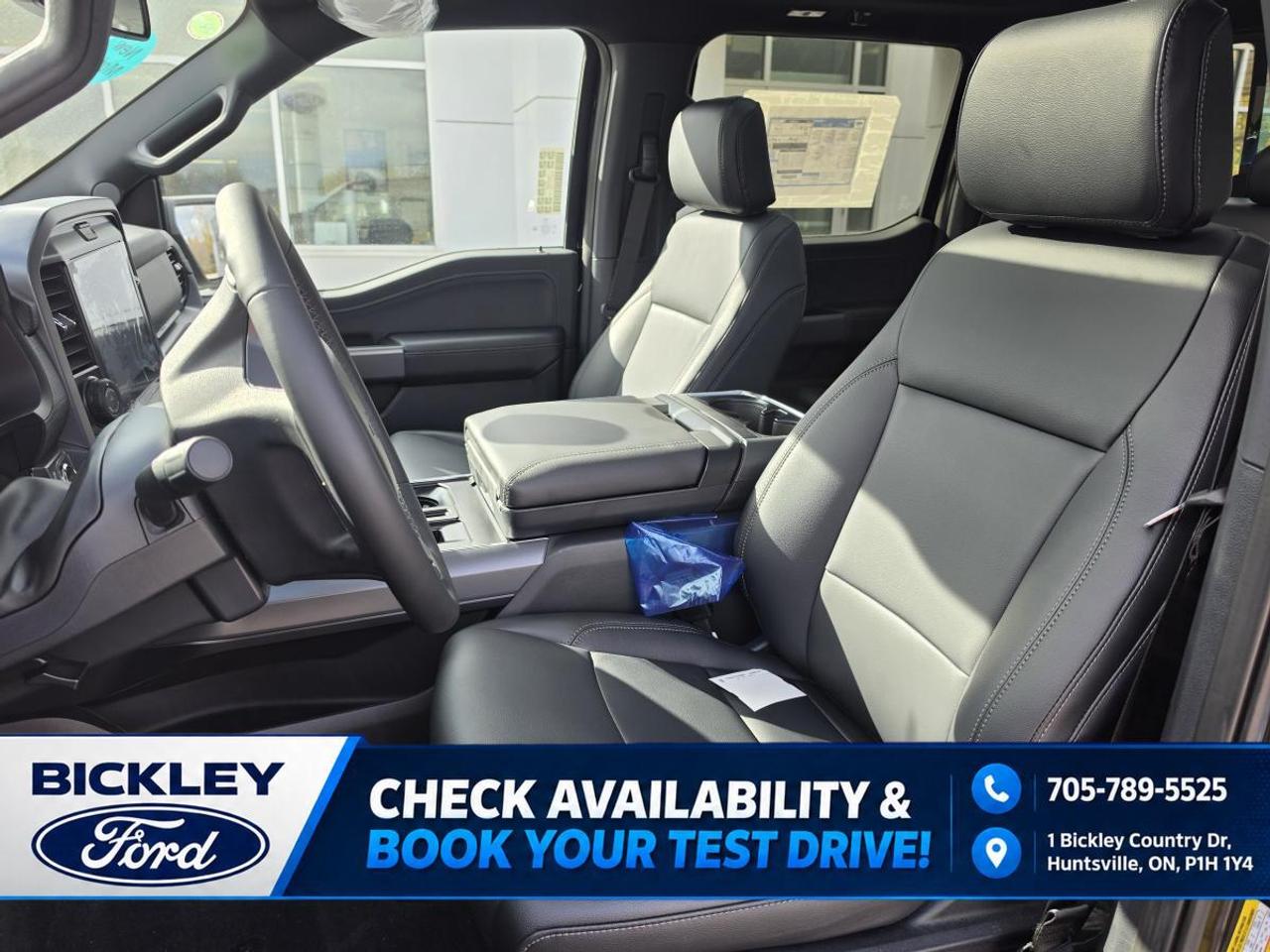 2026 Ford F-150 XLT Photo