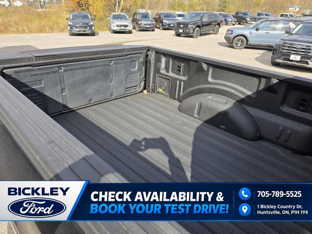 2026 Ford F-150 XLT Photo