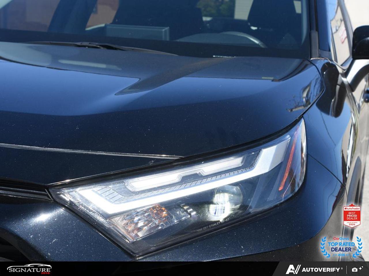 2024 Toyota RAV4 XLE AWD No Accident Sunroof Carplay BSM Photo