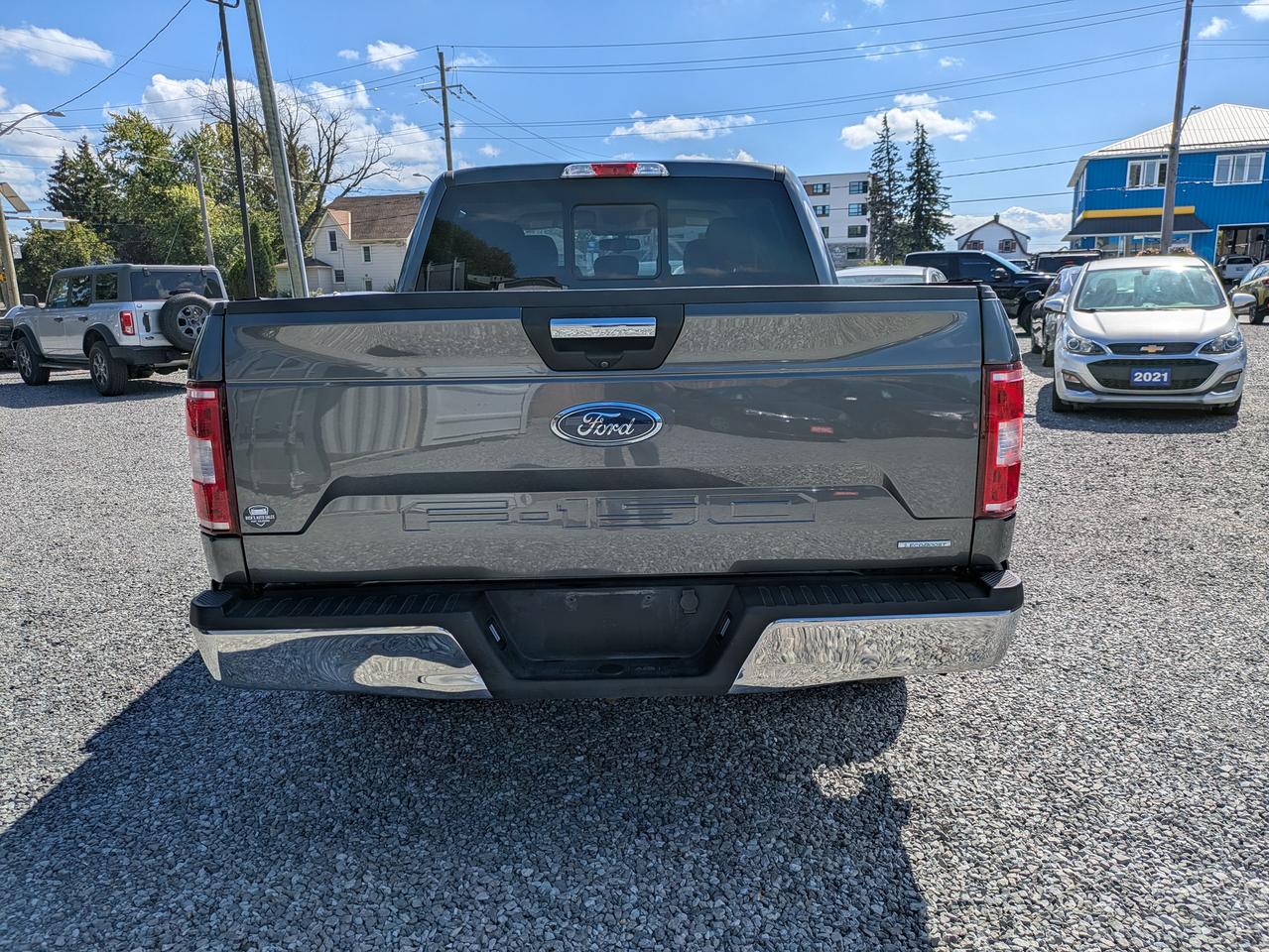 2020 Ford F-150 XLT 2WD SuperCrew 5.5' Box Photo3