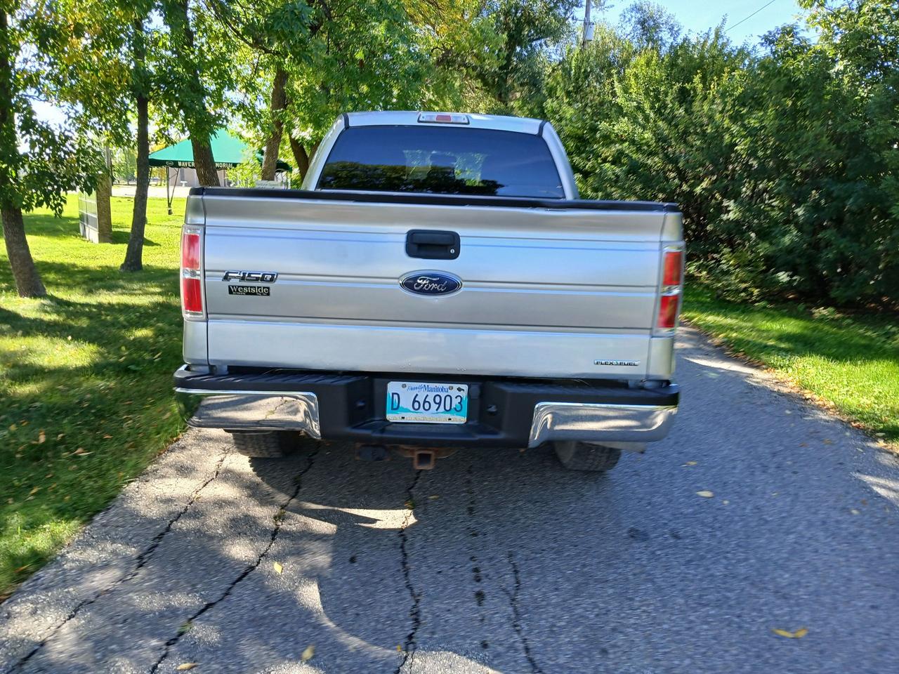 Image 5