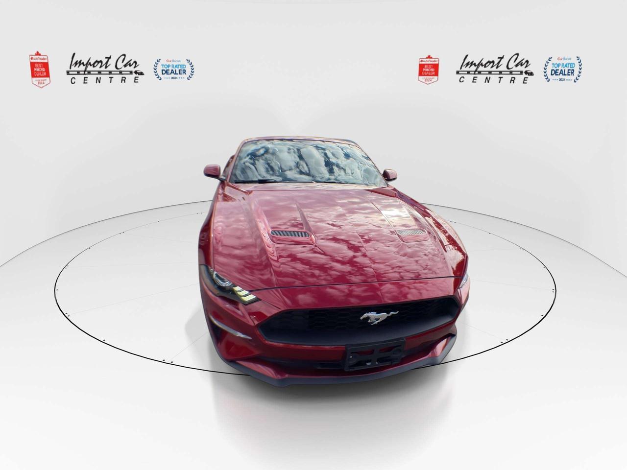 2019 Ford Mustang EcoBoost ONLY 52,000KMS!!  LEATHER, HTD.& VENTED SEATS, BK. CAM, ALLOYS Photo