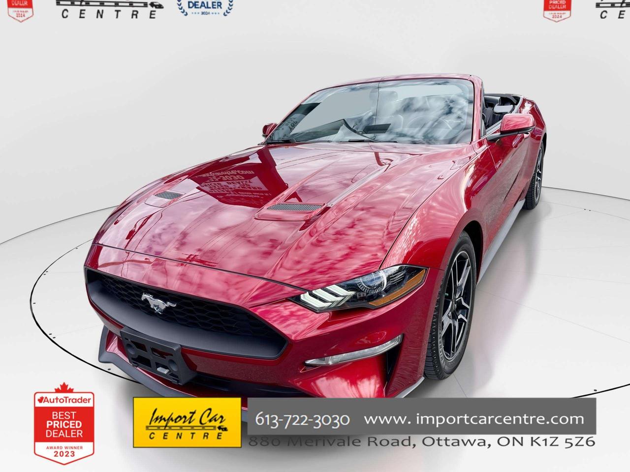 2019 Ford Mustang EcoBoost ONLY 52,000KMS!!  LEATHER, HTD.& VENTED SEATS, BK. CAM, ALLOYS Photo0