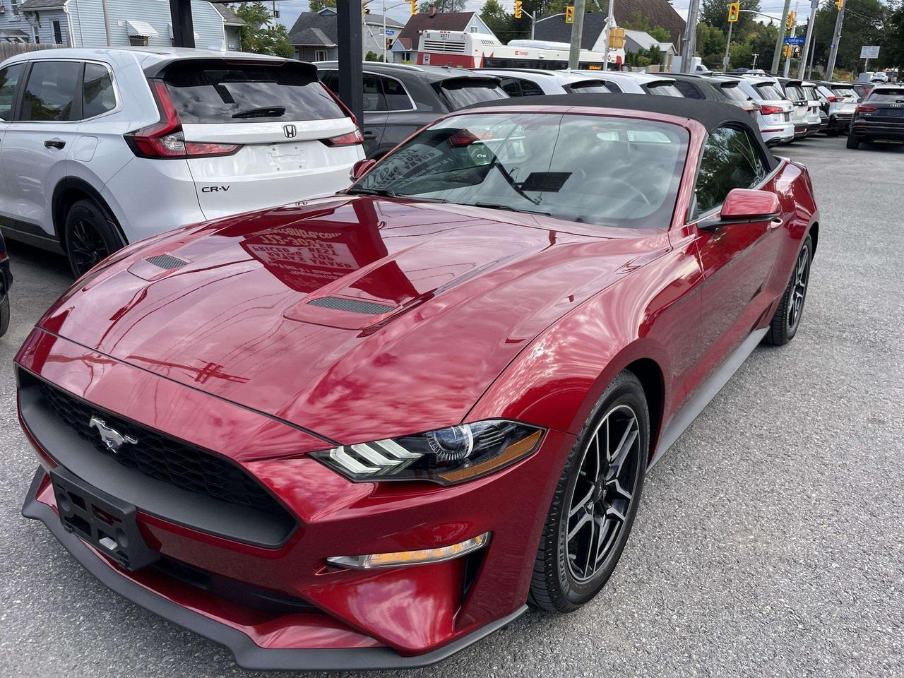 2019 Ford Mustang EcoBoost ONLY 52,000KMS!!  LEATHER, HTD.& VENTED SEATS, BK. CAM, ALLOYS Photo