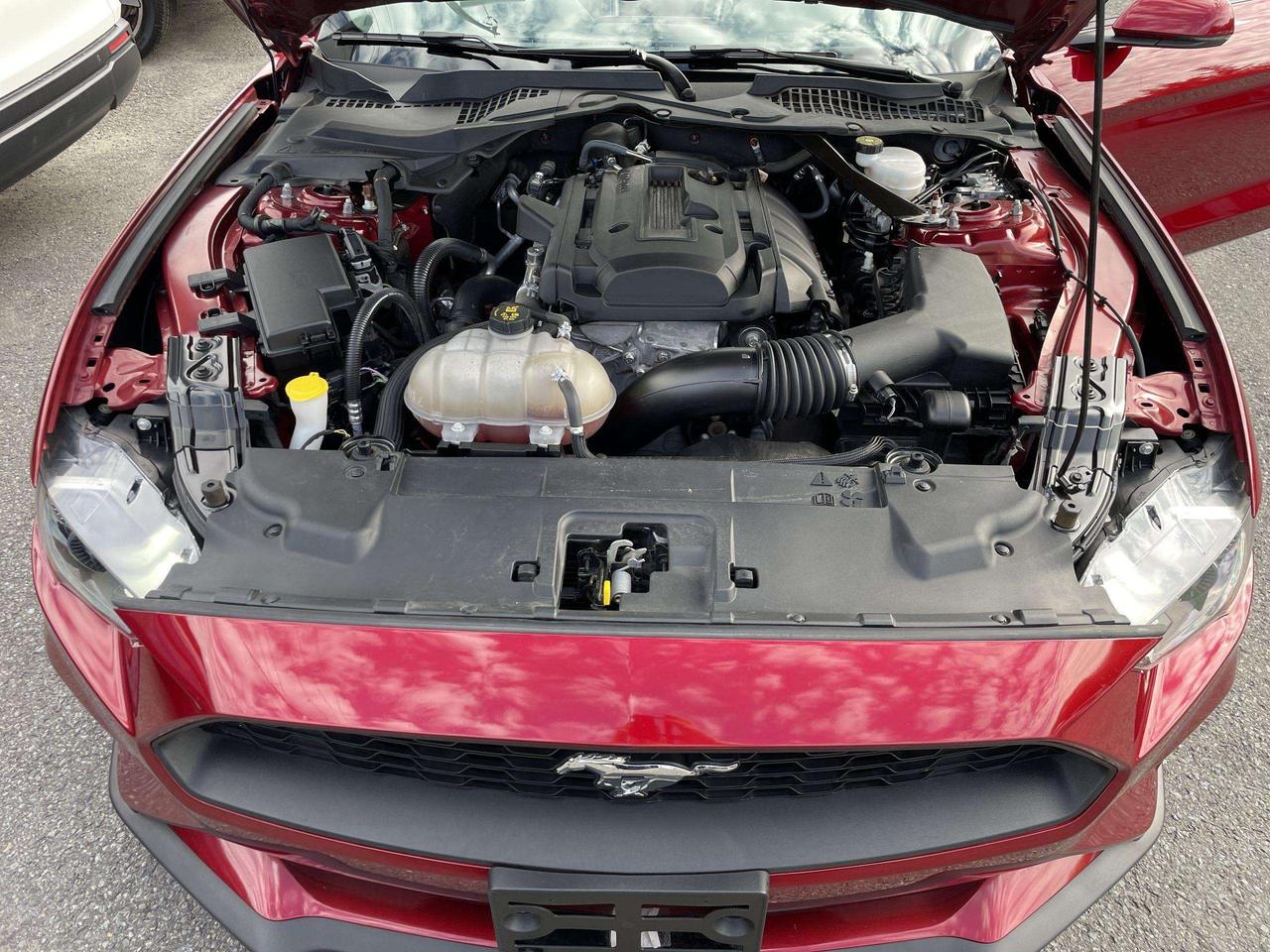 2019 Ford Mustang EcoBoost ONLY 52,000KMS!!  LEATHER, HTD.& VENTED SEATS, BK. CAM, ALLOYS Photo