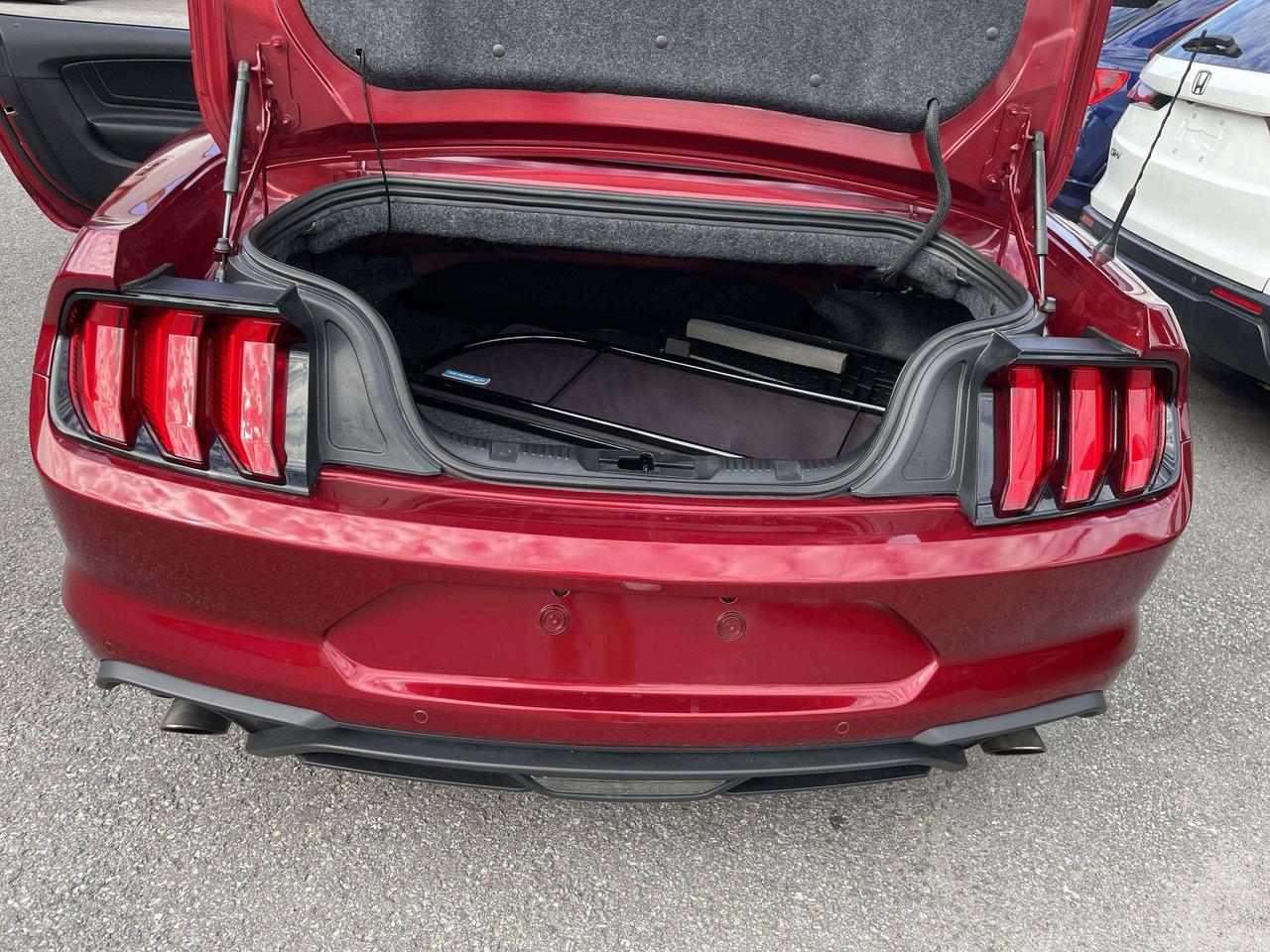 2019 Ford Mustang EcoBoost ONLY 52,000KMS!!  LEATHER, HTD.& VENTED SEATS, BK. CAM, ALLOYS Photo