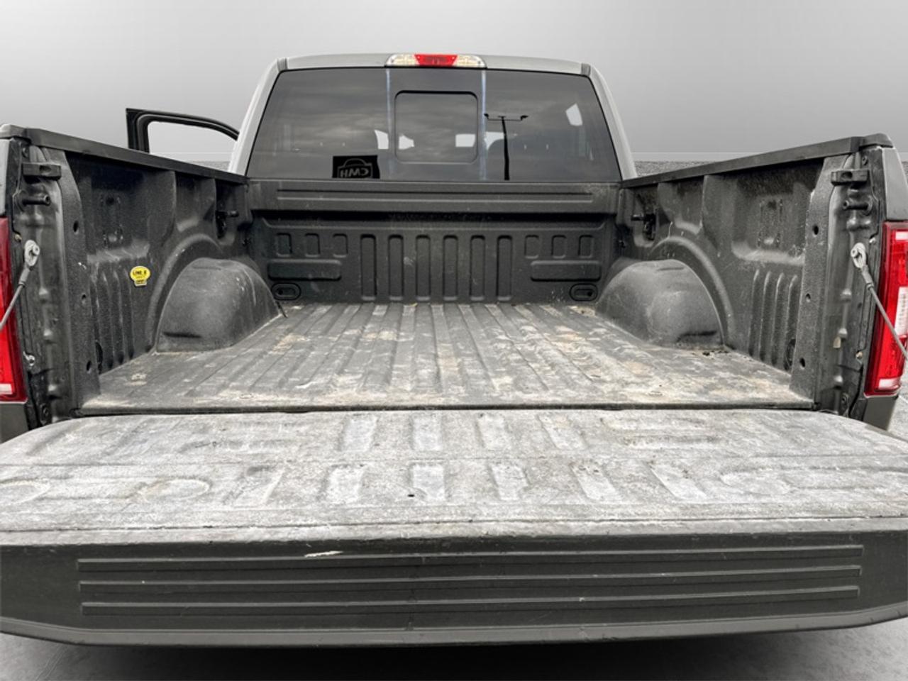 2019 Ford F-150 Lariat Photo