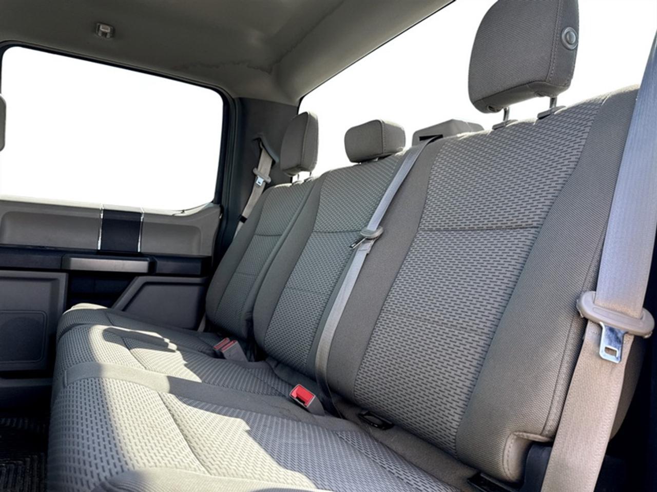 2019 Ford F-150 XLT w/Console  **CLEAN CARFAX** Photo