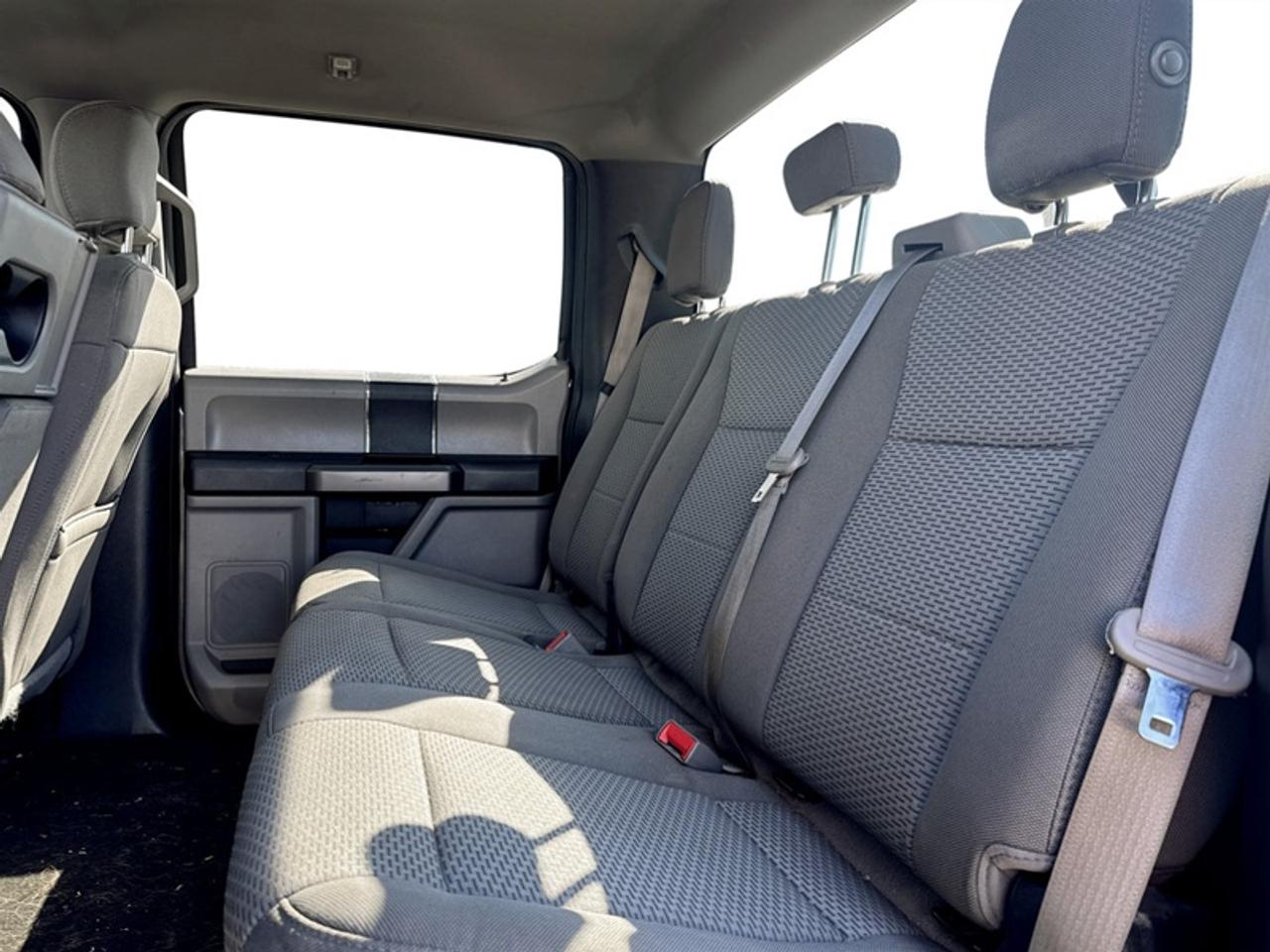 2019 Ford F-150 XLT w/Tow Pkg Photo