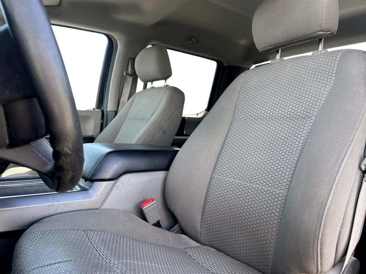 2019 Ford F-150 XLT w/Console Photo
