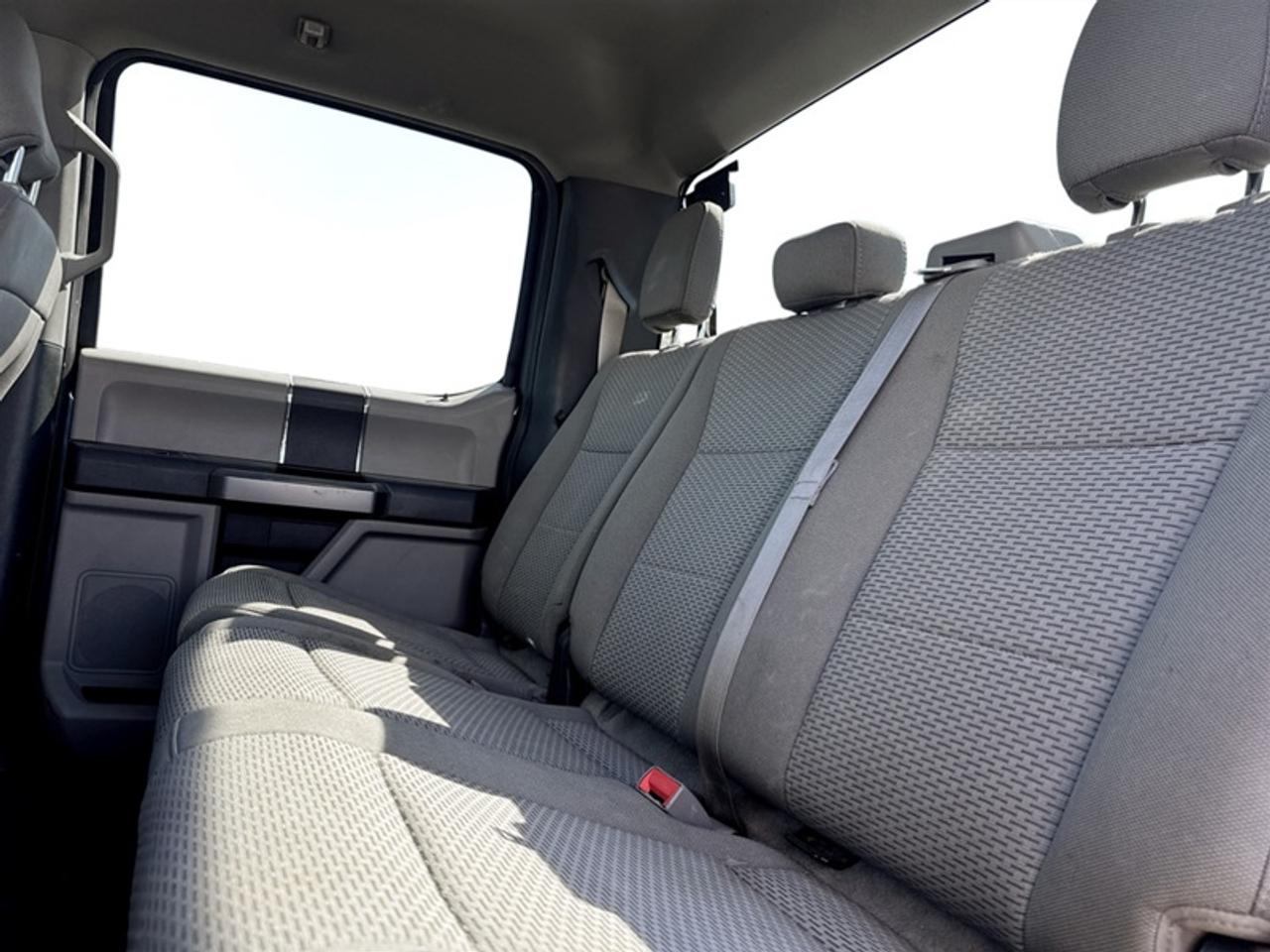 2019 Ford F-150 XLT w/Console Photo