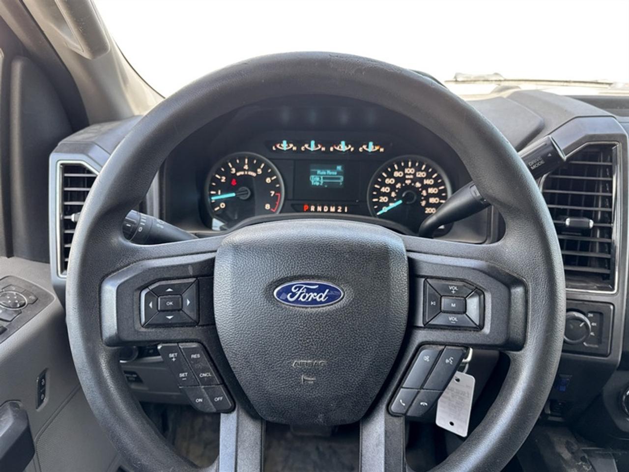 2019 Ford F-150 XLT w/Console Photo
