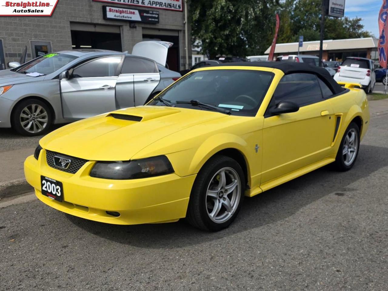 2003 Ford Mustang Deluxe Convertible - New Roof Installed Photo1