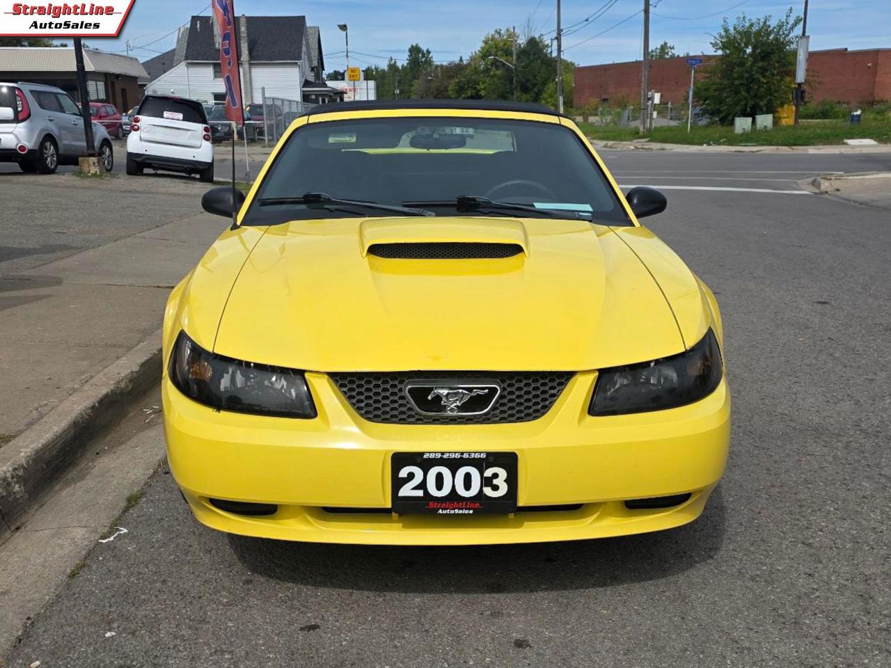 2003 Ford Mustang Deluxe Convertible - New Roof Installed Photo
