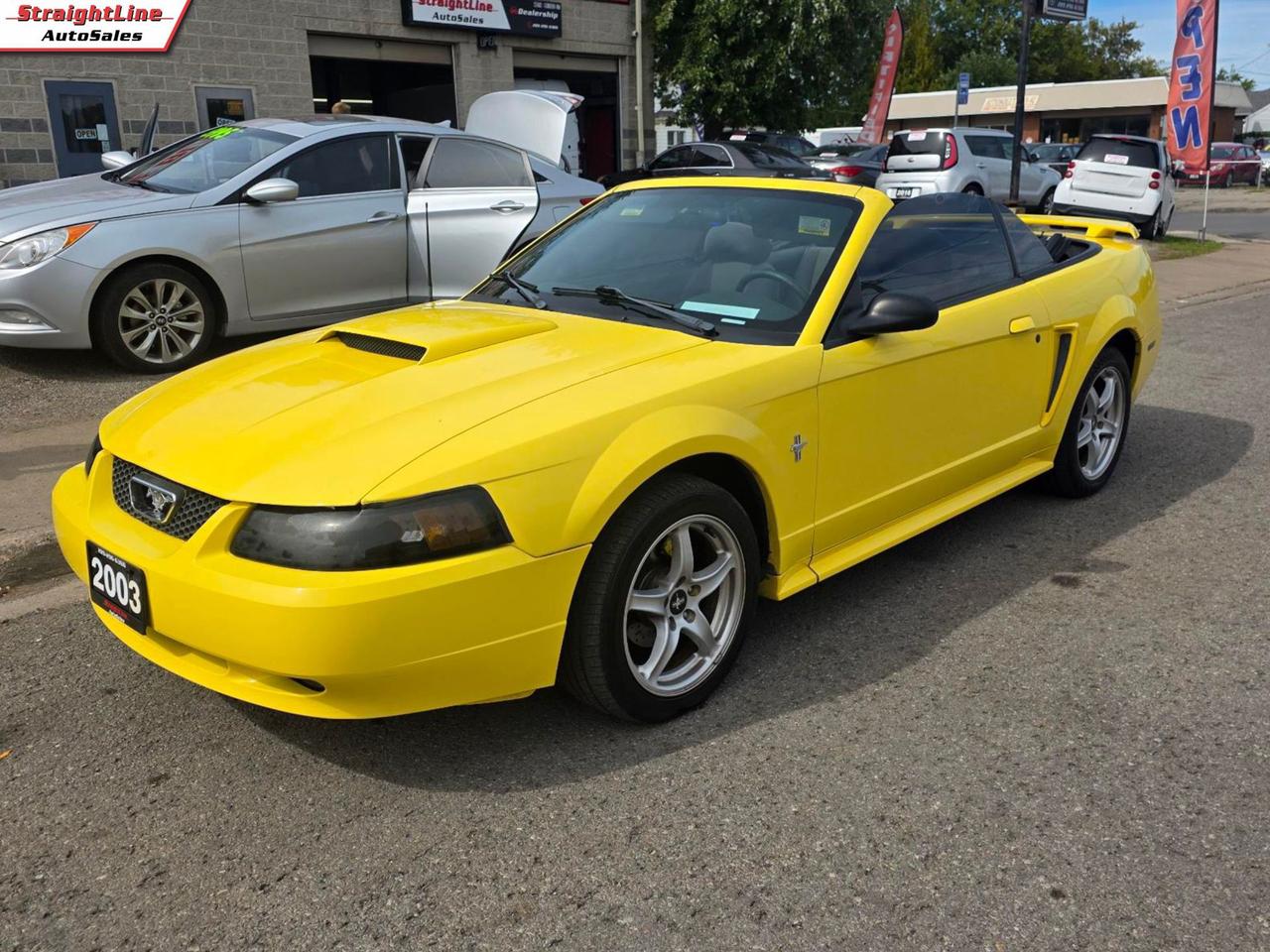 2003 Ford Mustang Deluxe Convertible - New Roof Installed Photo2