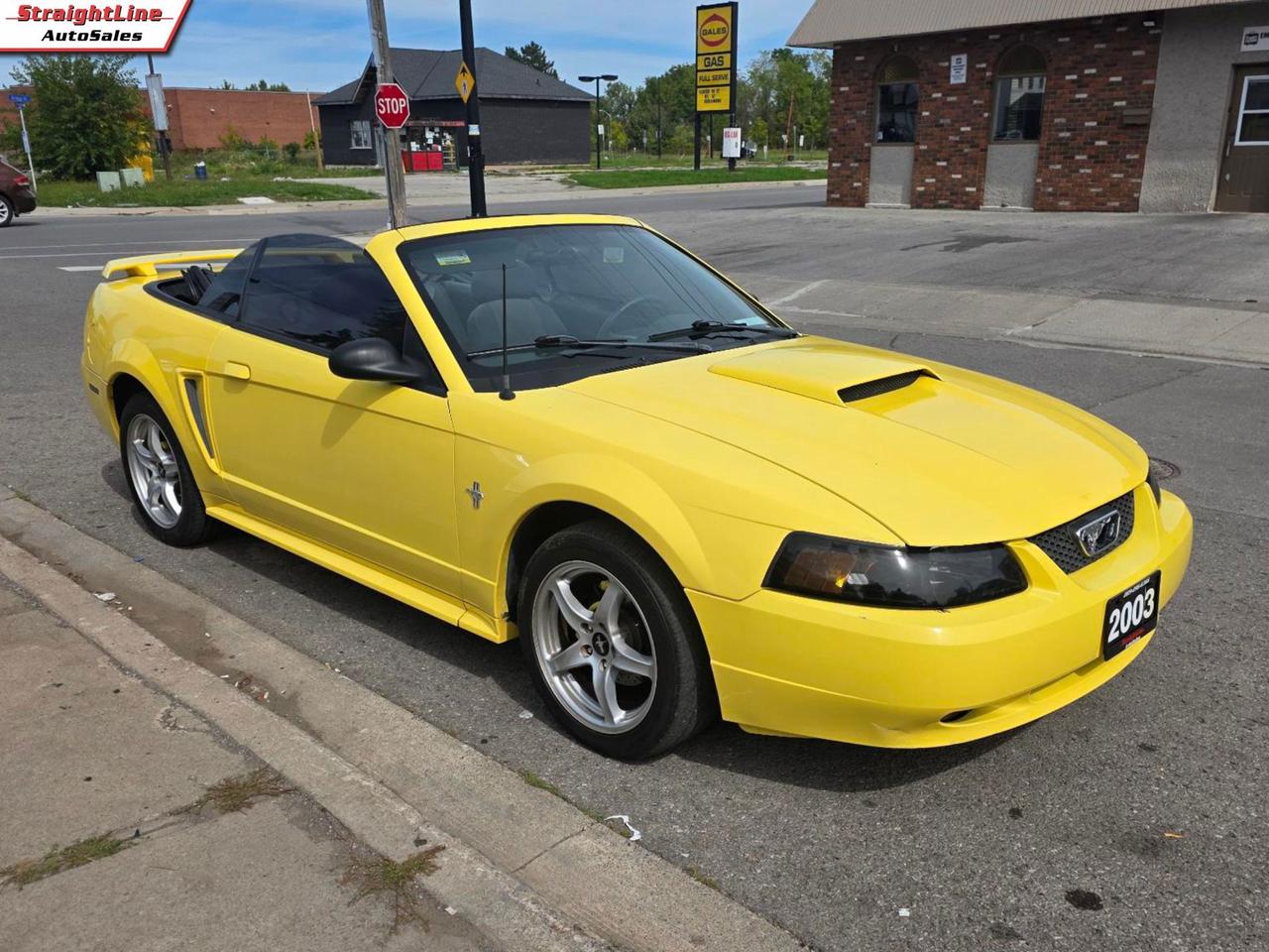 2003 Ford Mustang Deluxe Convertible - New Roof Installed Photo