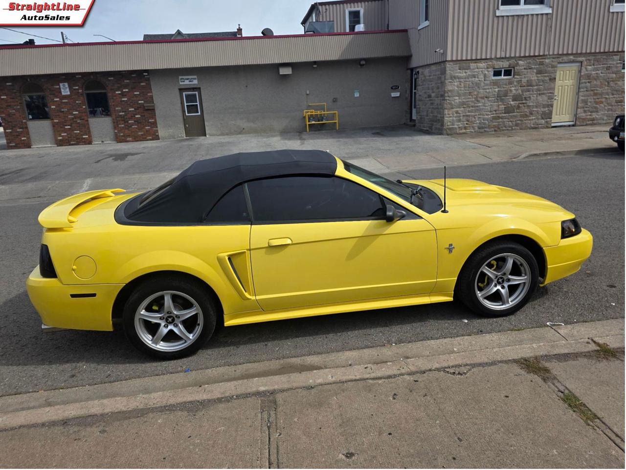 2003 Ford Mustang Deluxe Convertible - New Roof Installed Photo