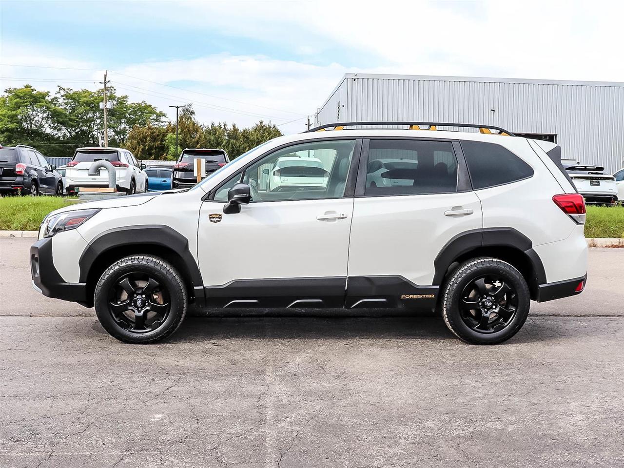 2022 Subaru Forester WILDERNESS Photo
