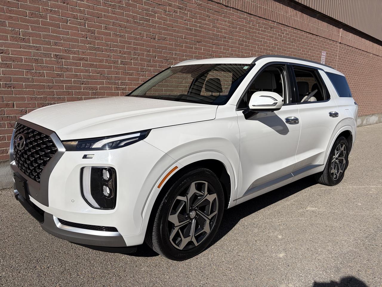 2021 Hyundai PALISADE Ultimate Calligraphy - Photo #1