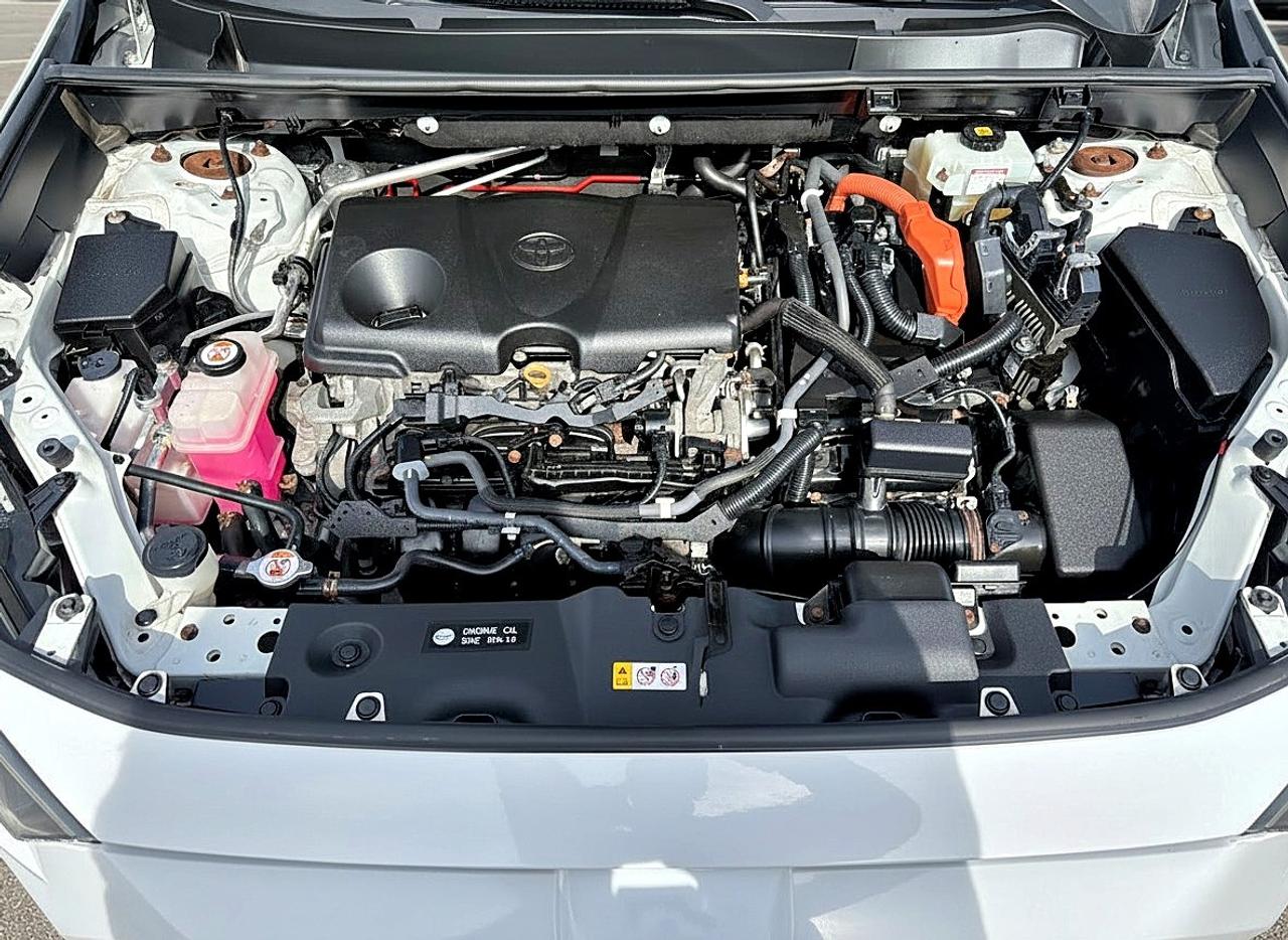2020 Toyota RAV4 Hybrid LE AWD Photo