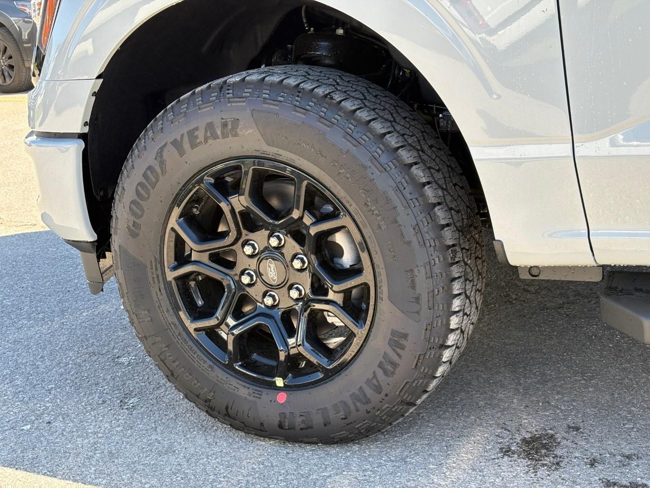 2026 Ford F-150 XLT 4WD SuperCrew 6.5' Box Photo