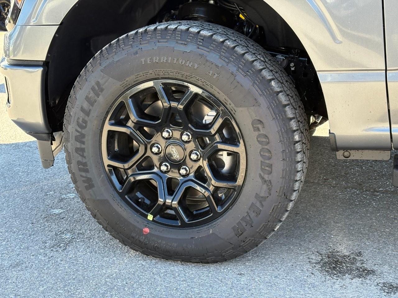 2026 Ford F-150 XLT 4WD SuperCrew 6.5' Box Photo