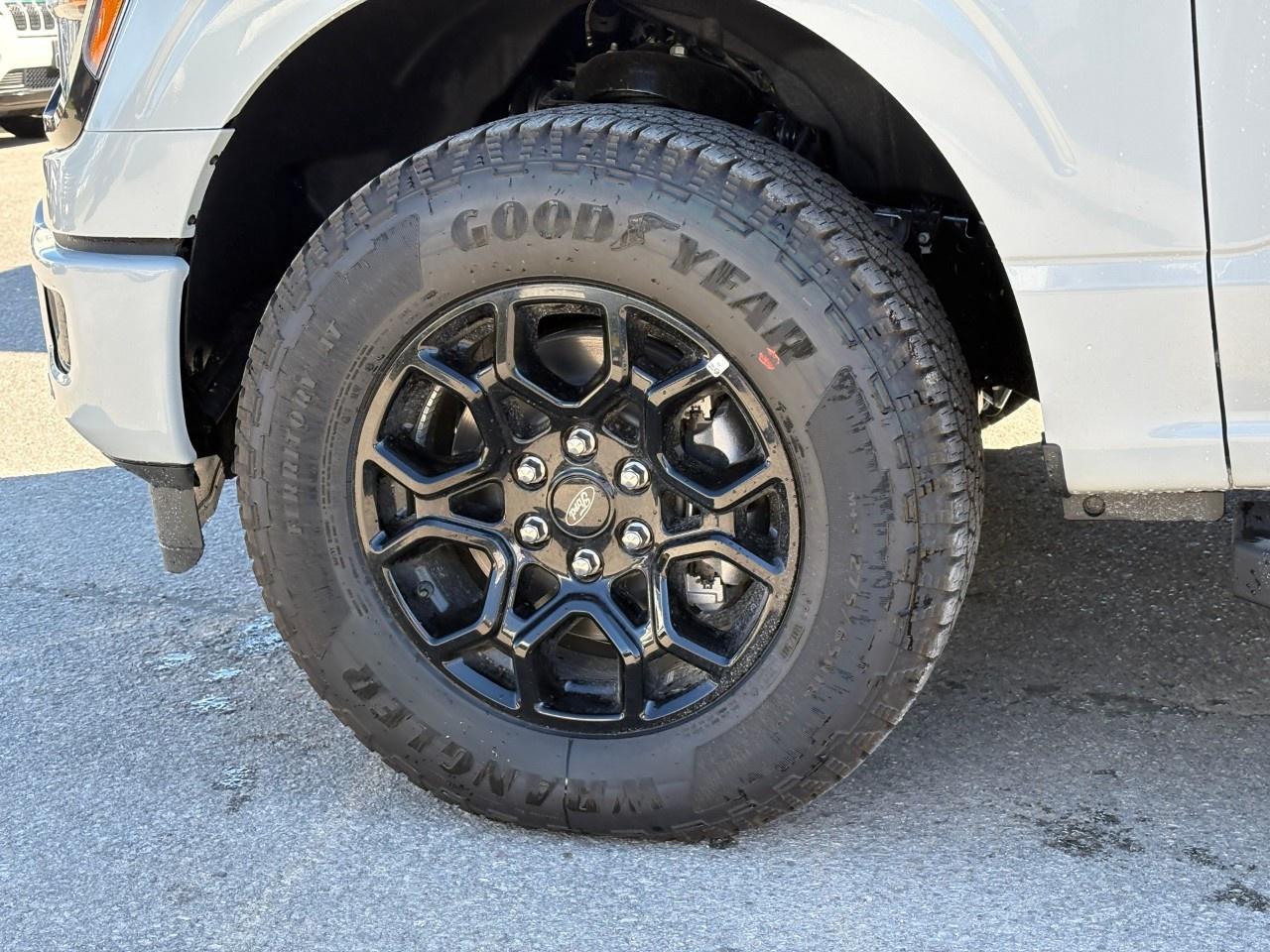 2026 Ford F-150 XLT 4WD SuperCrew 5.5' Box Photo