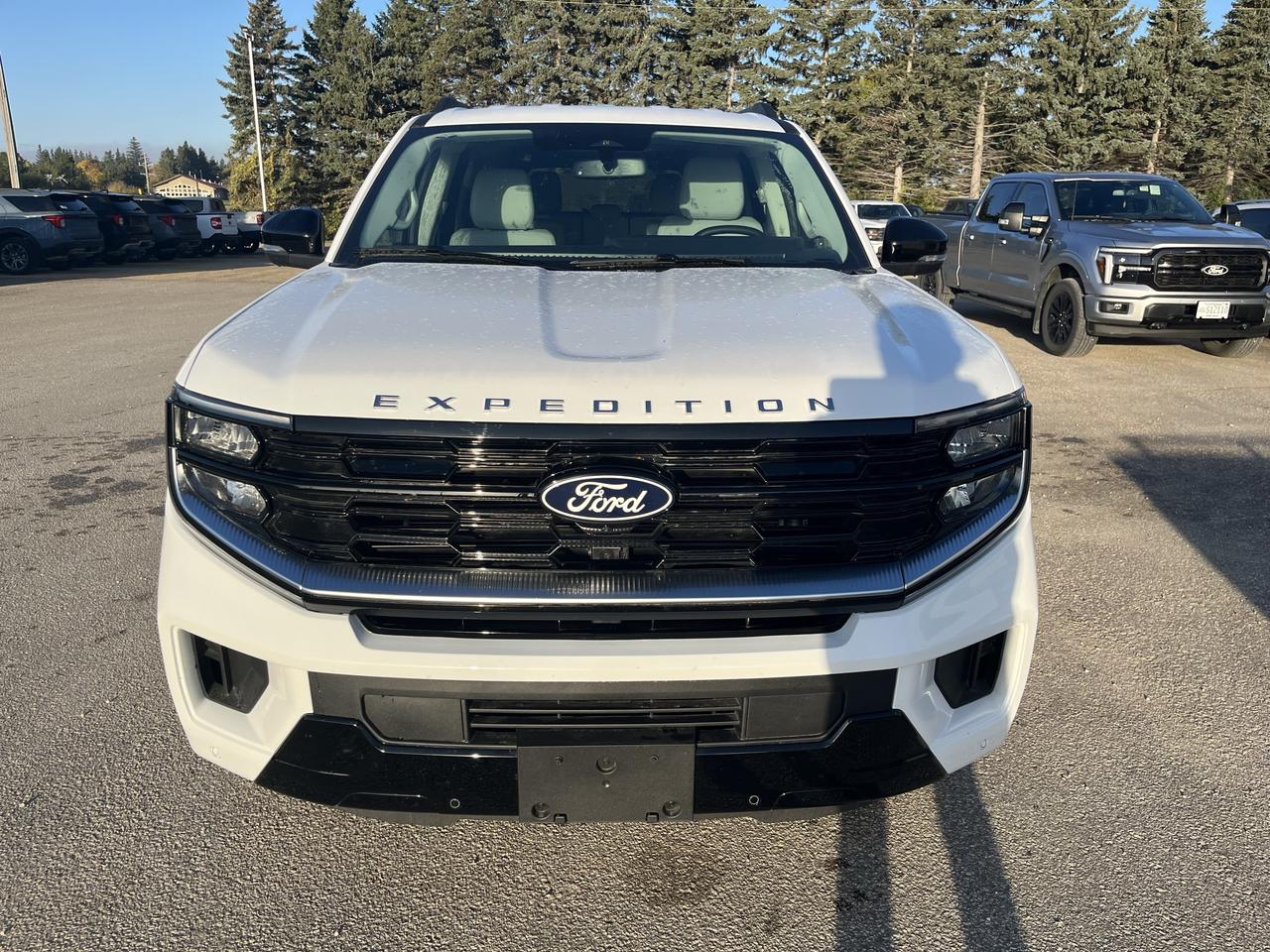 2027 Ford Expedition Platinum Max 4X4 Photo1