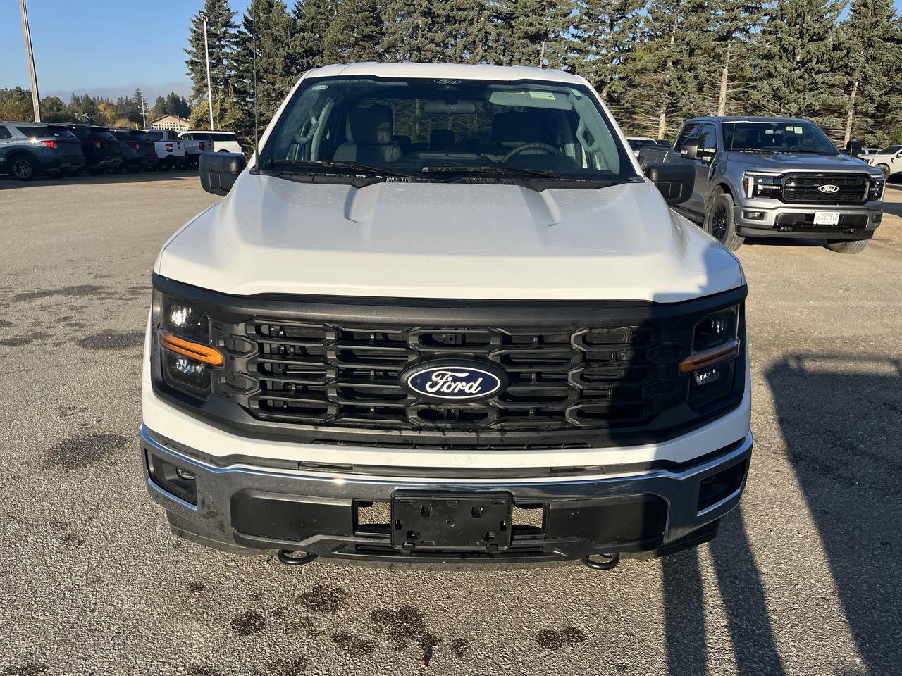 2026 Ford F-150 XL 4WD SUPERCREW 6.5' BOX Photo1