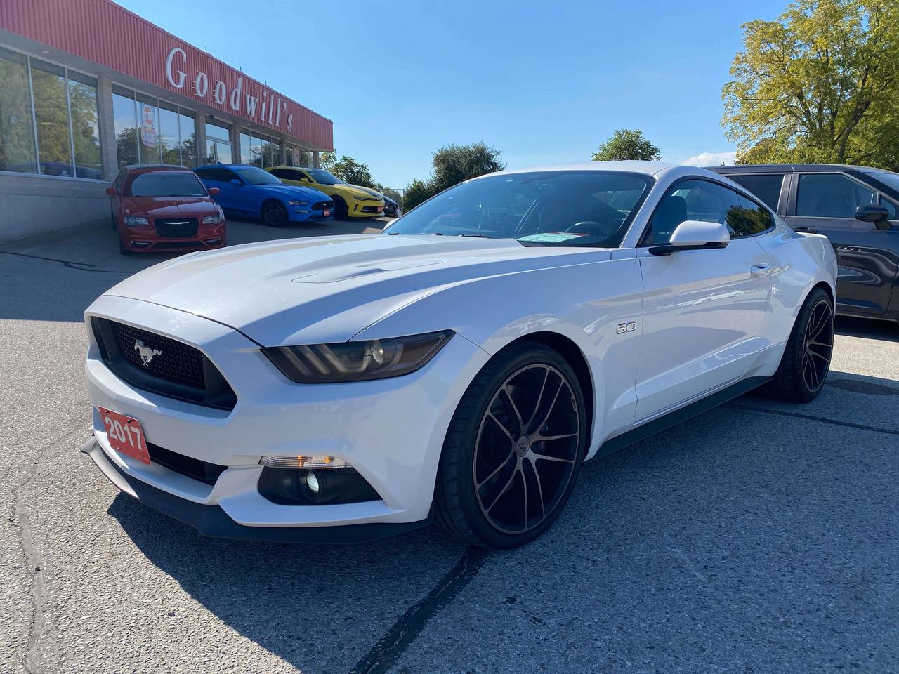 2017 Ford Mustang GT, 6 SPEED MANUAL, 5L, HEATED/ COOLED LEATHER! - Photo #4