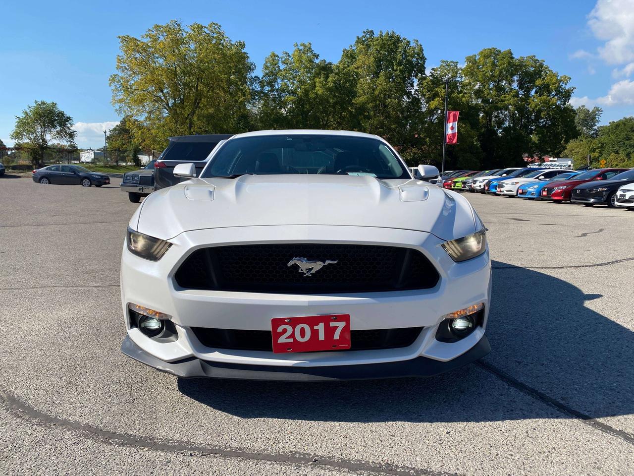 2017 Ford Mustang GT, 6 SPEED MANUAL, 5L, HEATED/ COOLED LEATHER! Photo