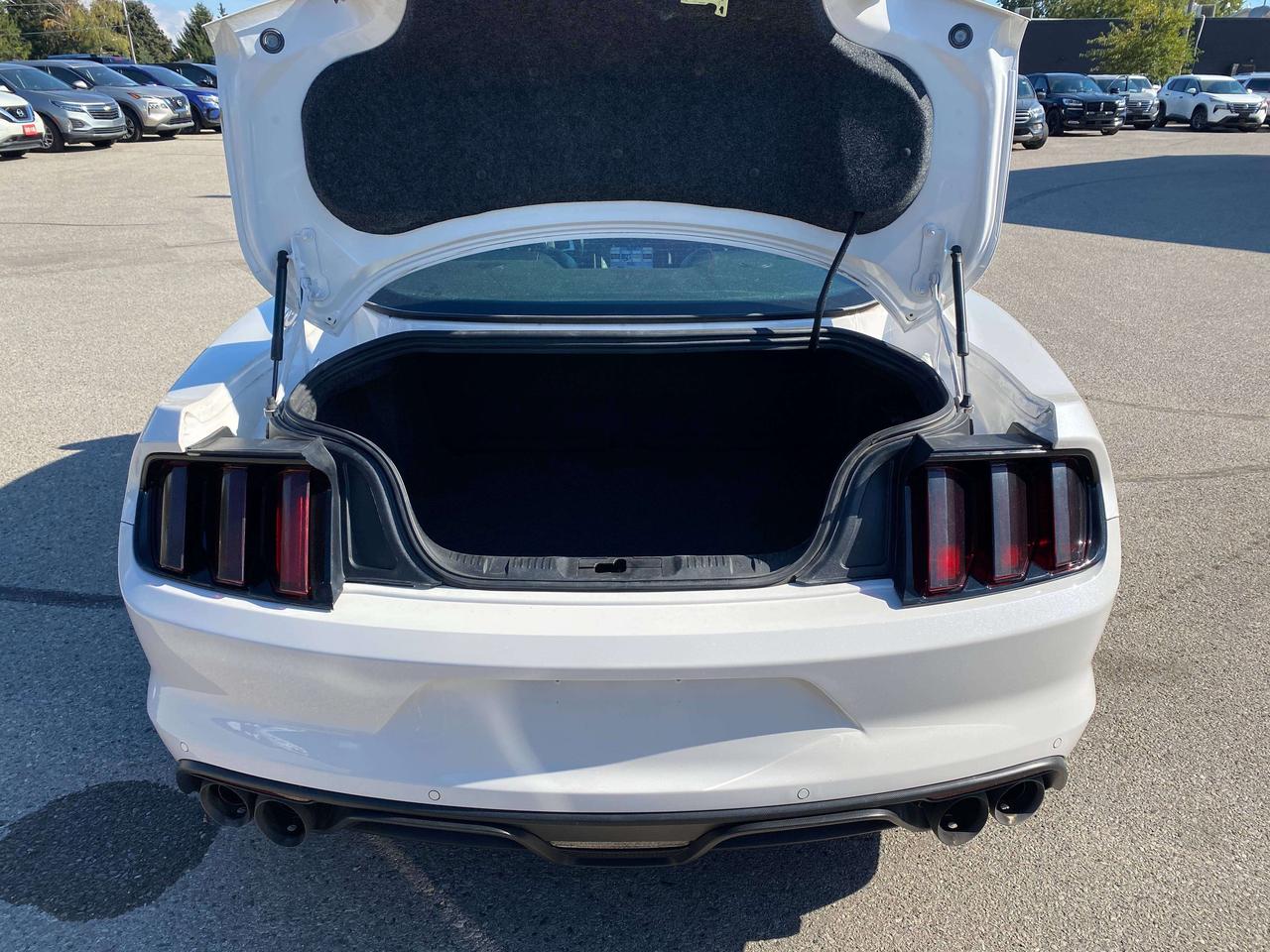 2017 Ford Mustang GT, 6 SPEED MANUAL, 5L, HEATED/ COOLED LEATHER! Photo