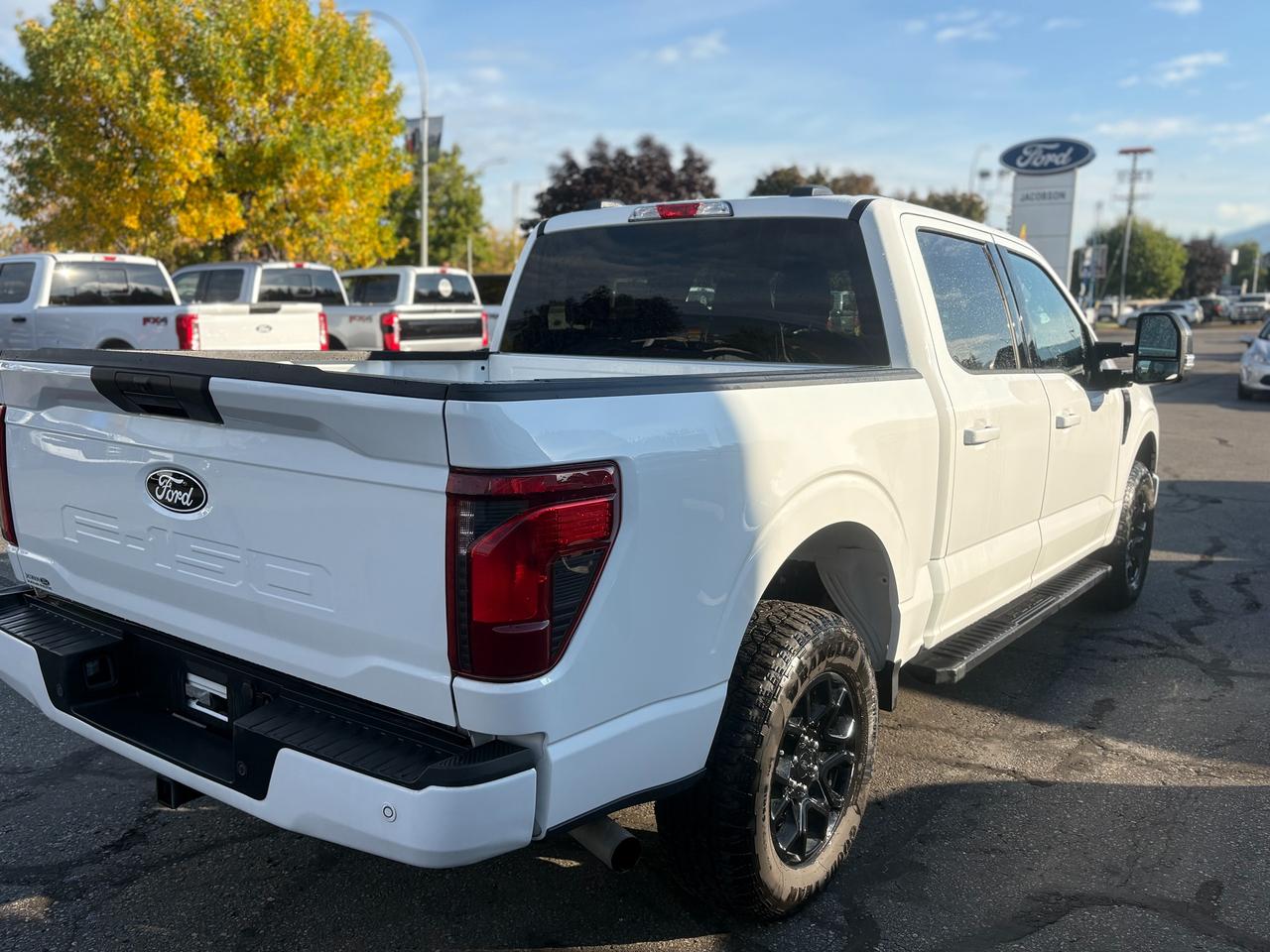 2025 Ford F-150 XLT Photo4