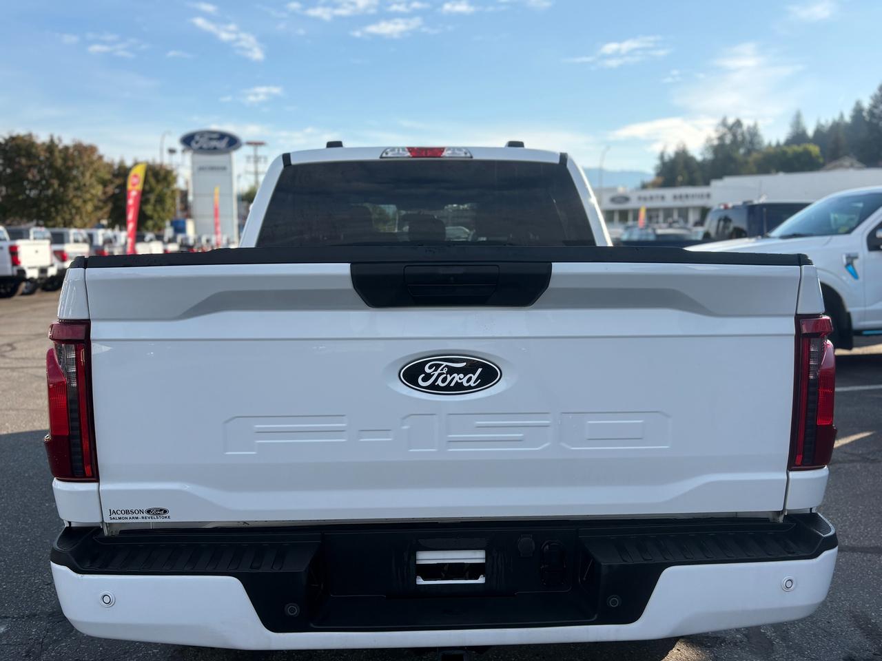 2025 Ford F-150 XLT Photo3