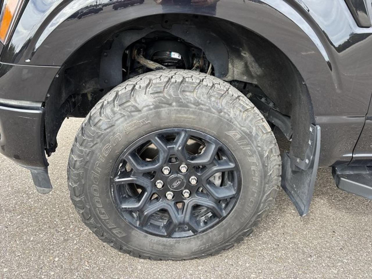 2024 Ford F-150 XLT FX4 SuperCrew 5.5' Box 4WD | One Accidents Photo