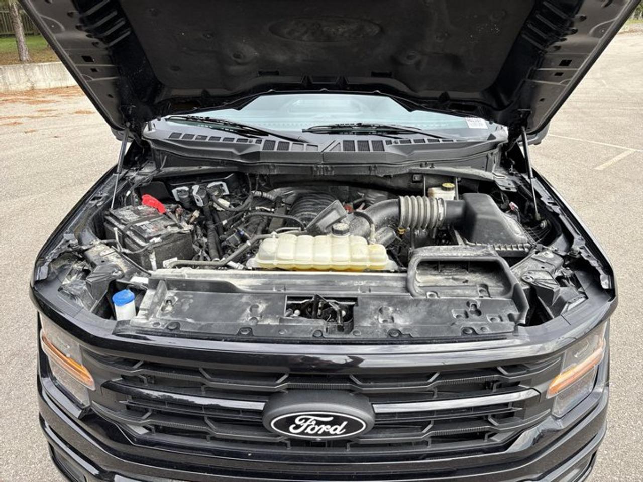 2024 Ford F-150 XLT FX4 SuperCrew 5.5' Box 4WD | One Accidents Photo