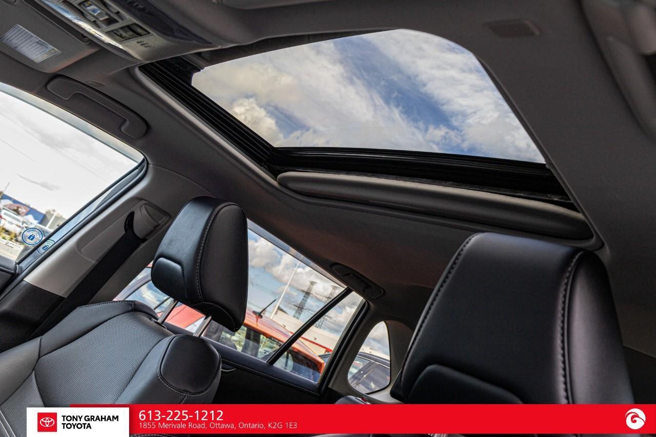 2023 Toyota RAV4 LIMITED  Photo