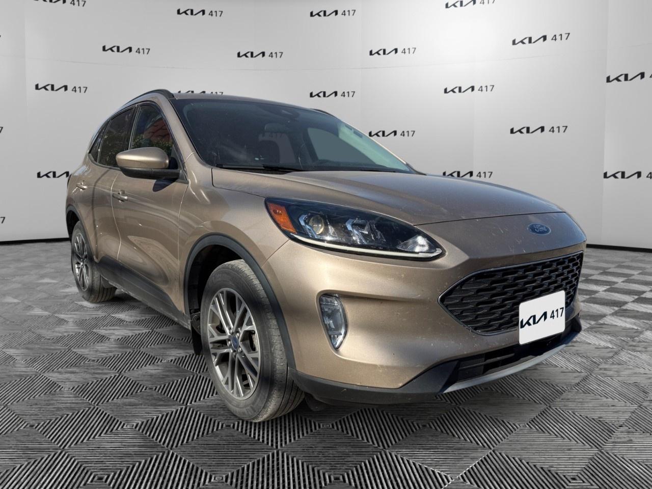 2021 Ford Escape SEL Hybrid AWD Photo