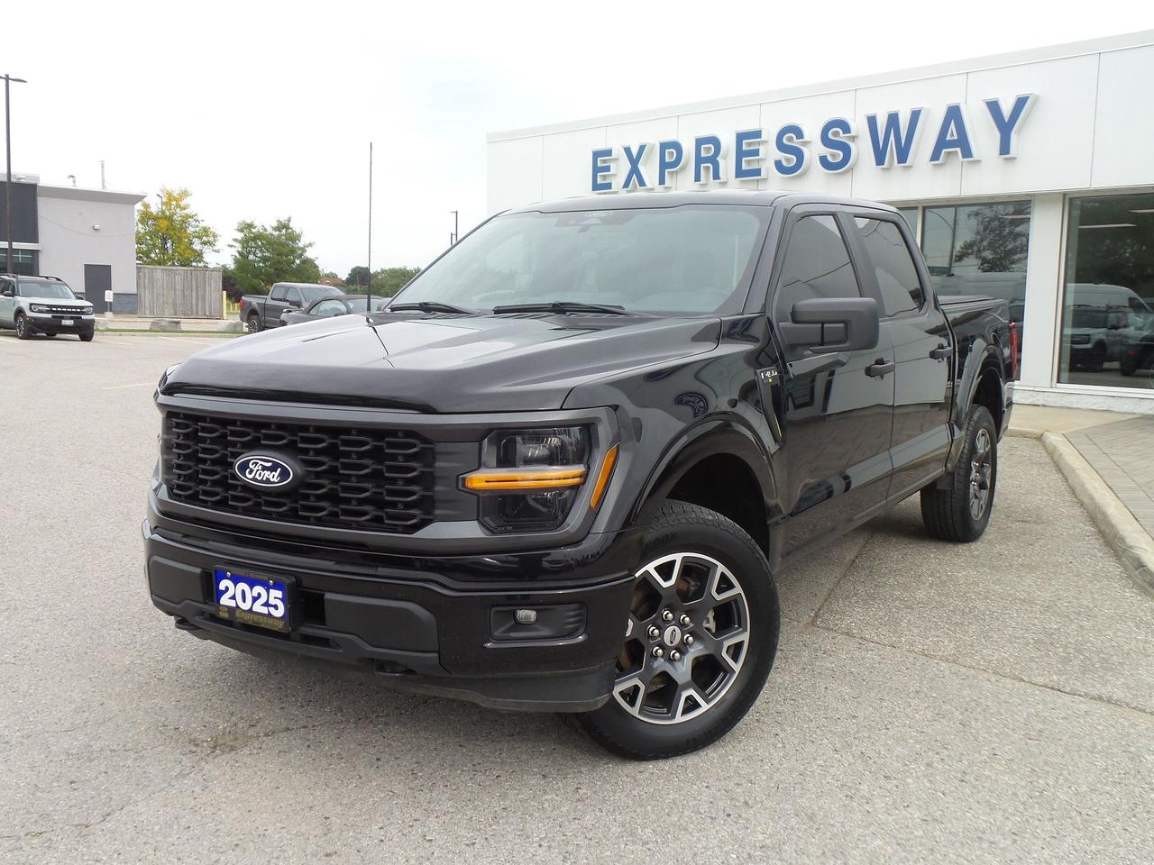 2025 Ford F-150 STX 4WD SuperCrew 5.5' Box Photo0