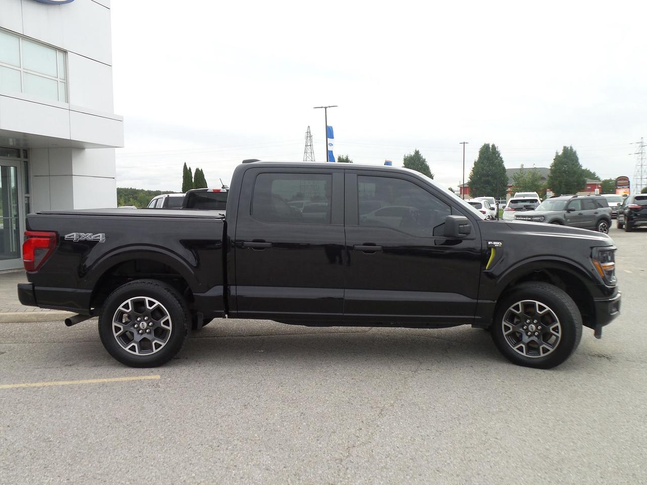 2025 Ford F-150 STX 4WD SuperCrew 5.5' Box Photo3