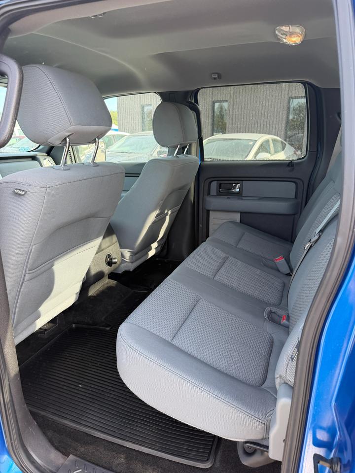 2013 Ford F-150 XLT Photo