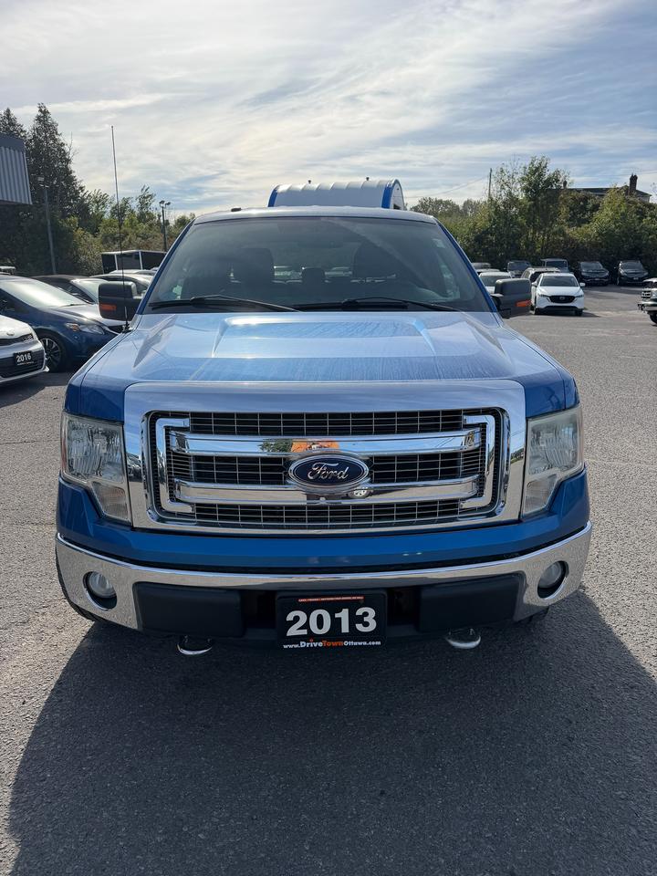 2013 Ford F-150 XLT Photo