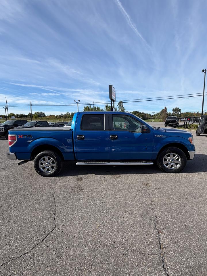 2013 Ford F-150 XLT Photo