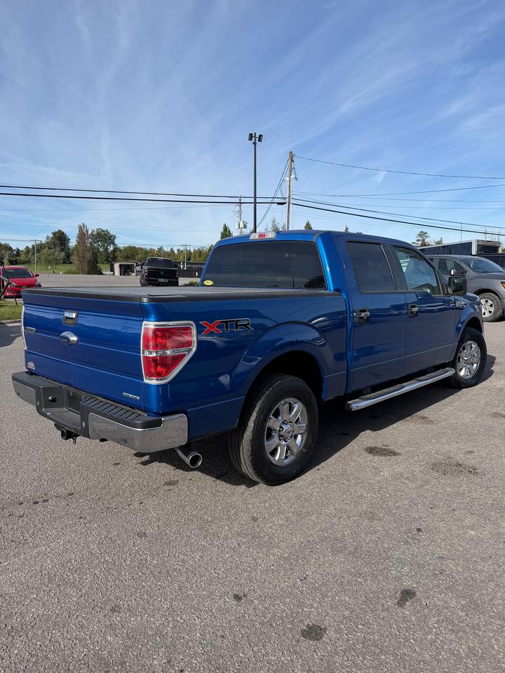 2013 Ford F-150 XLT Photo4