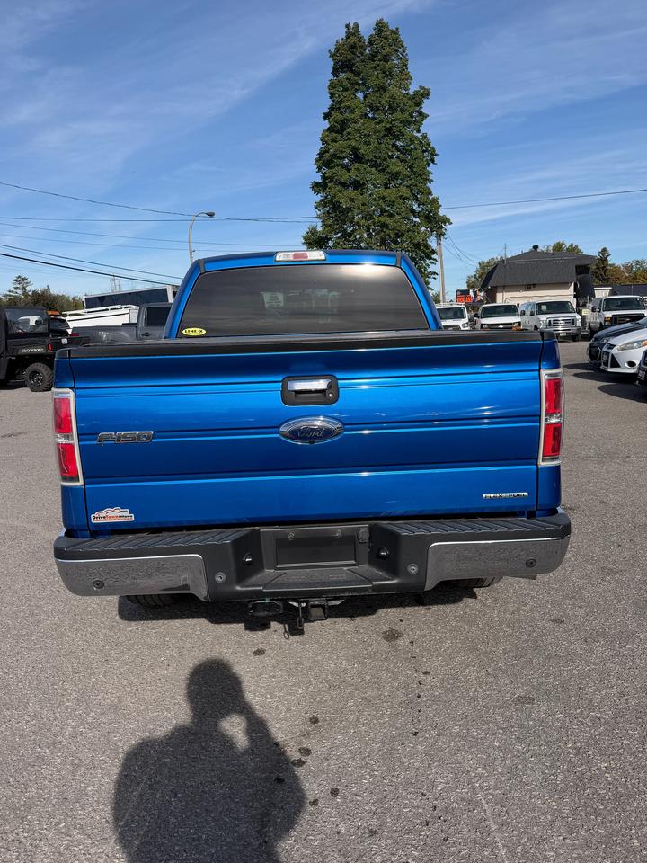 2013 Ford F-150 XLT Photo3