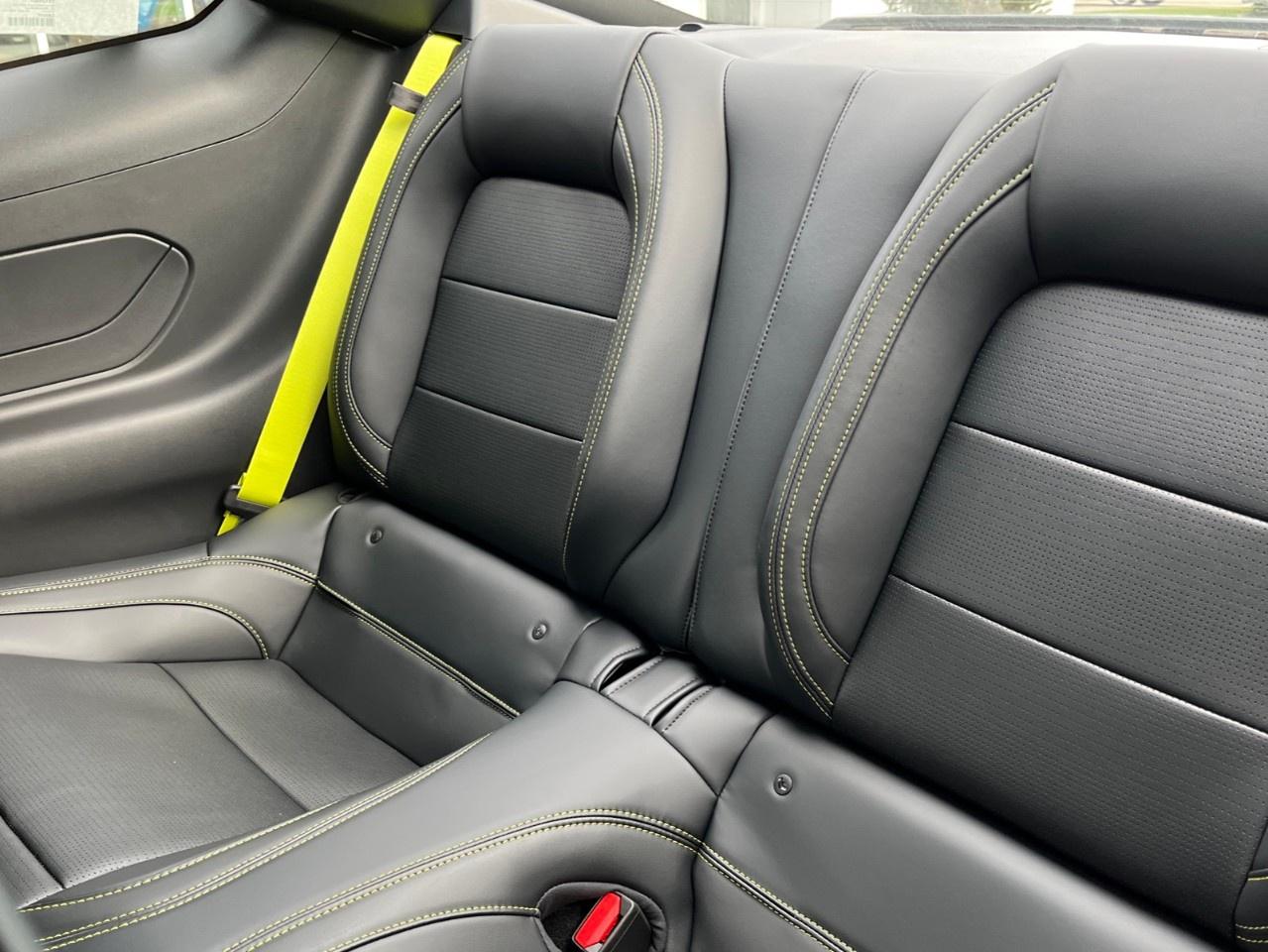 2026 Ford Mustang EcoBoost Premium Fastback Photo
