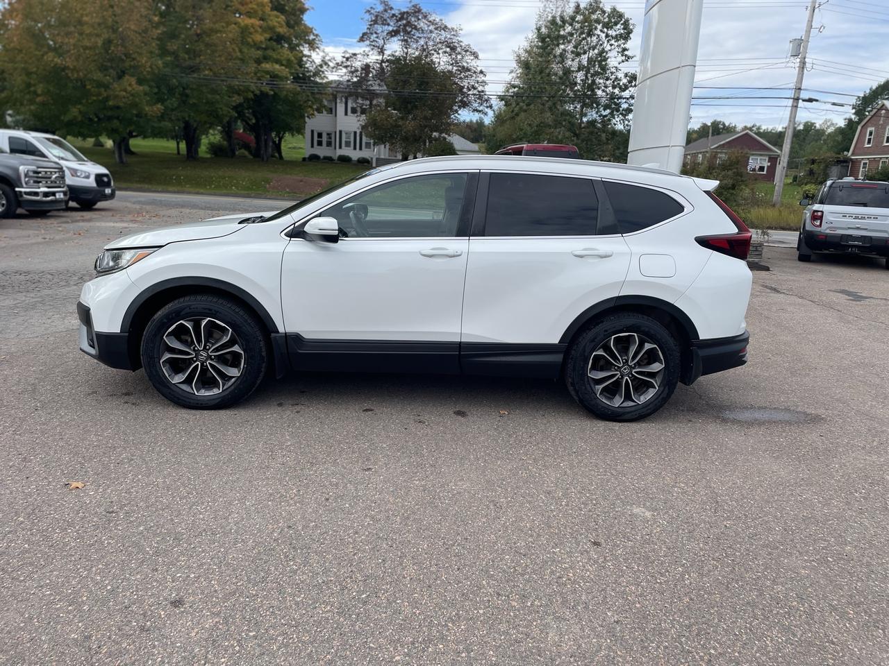 2020 Honda CR-V EX-L Photo3